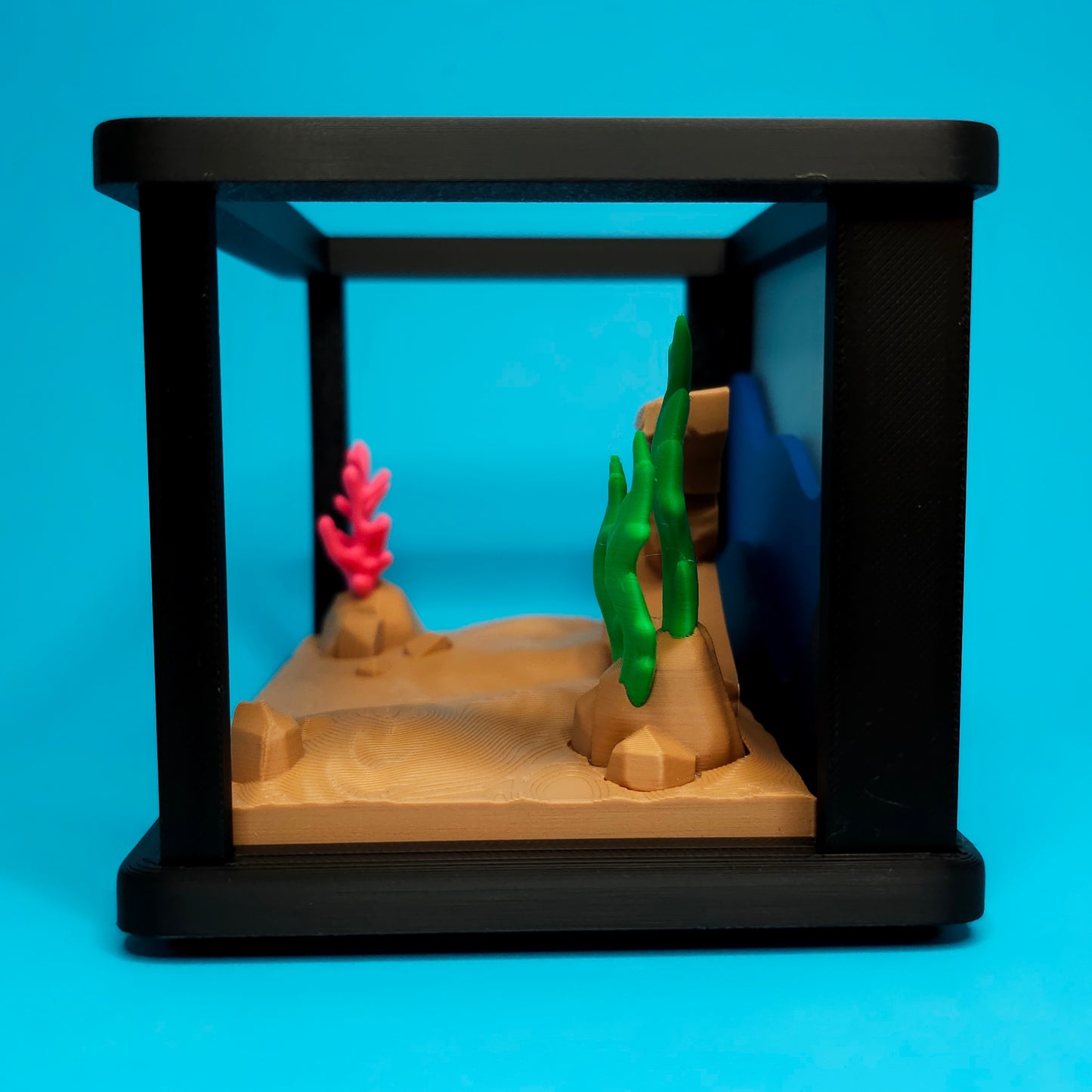 Marine Pocket Pet & Aquarium Set