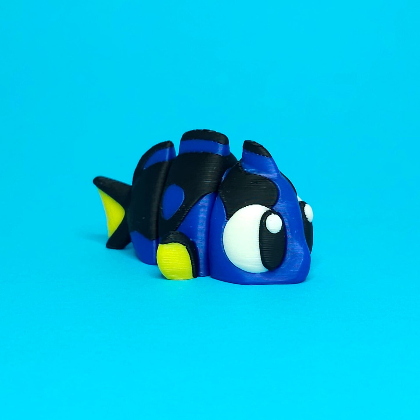 Surgeon Fish Pocket Pet