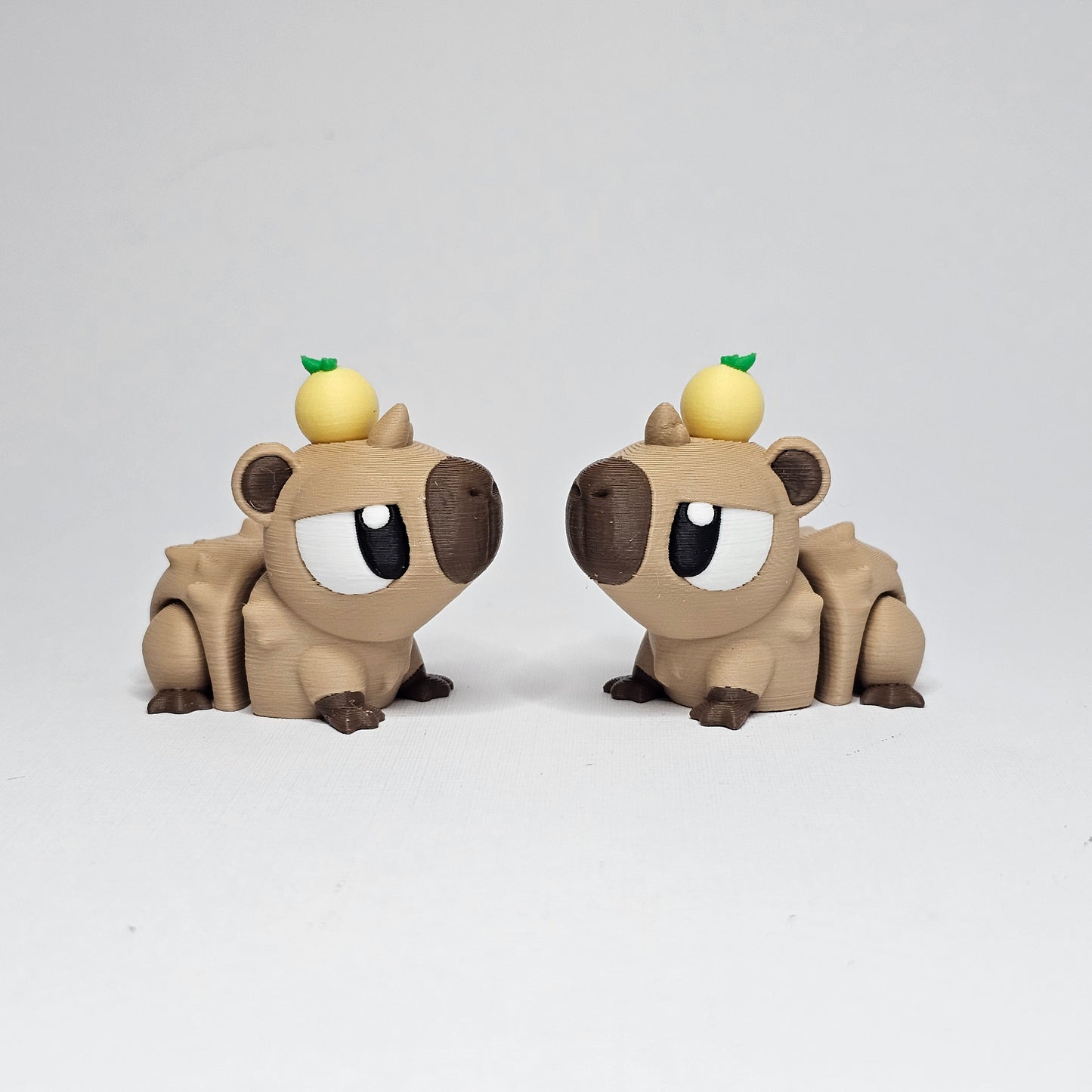 Cabybara Pocket Pet