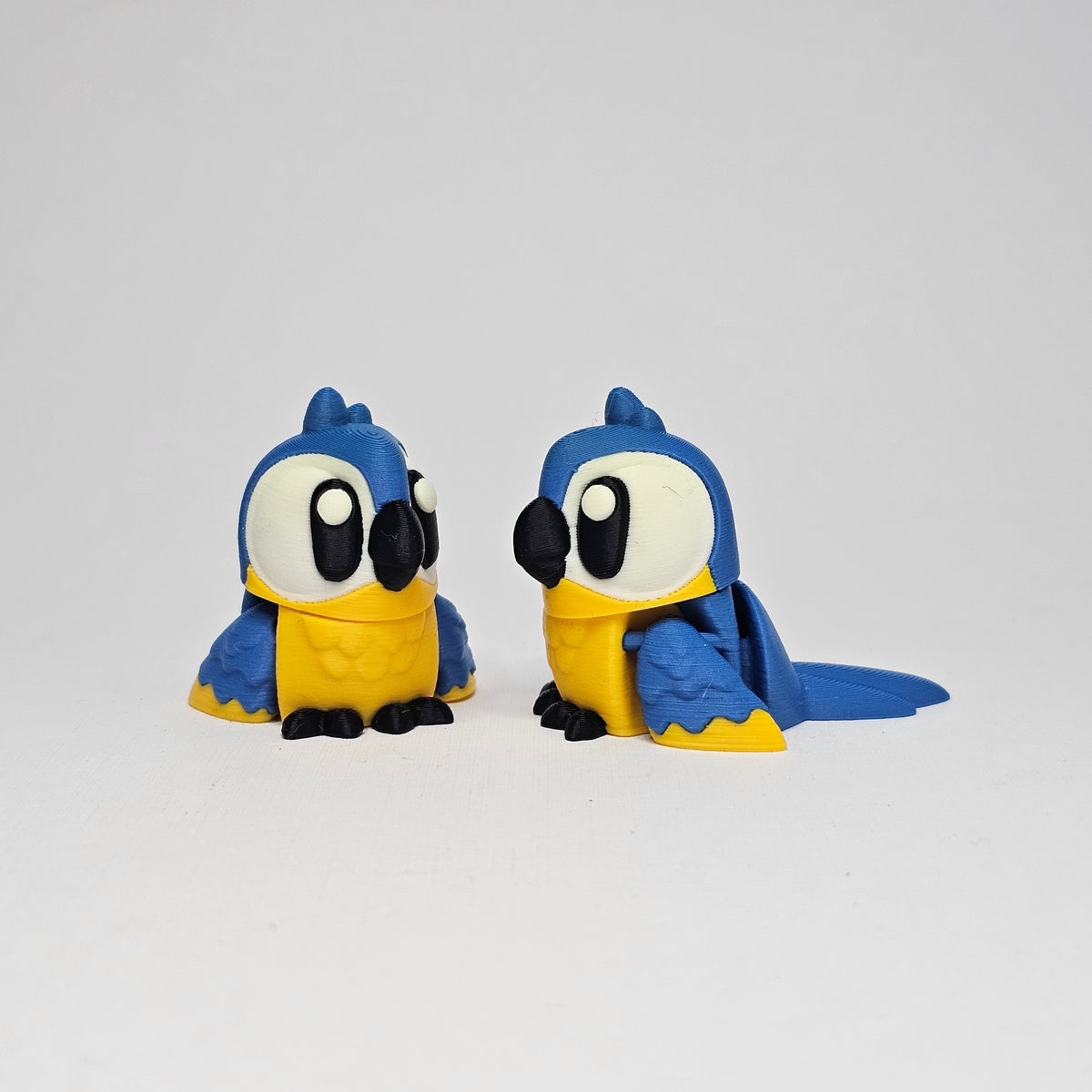 Macaw Pocket Pet