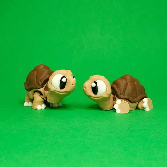 Tortoise Pocket Pet