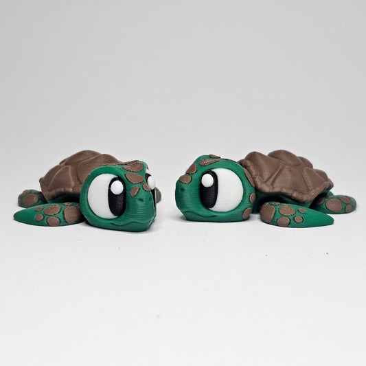Sea Turtle Pocket Pet
