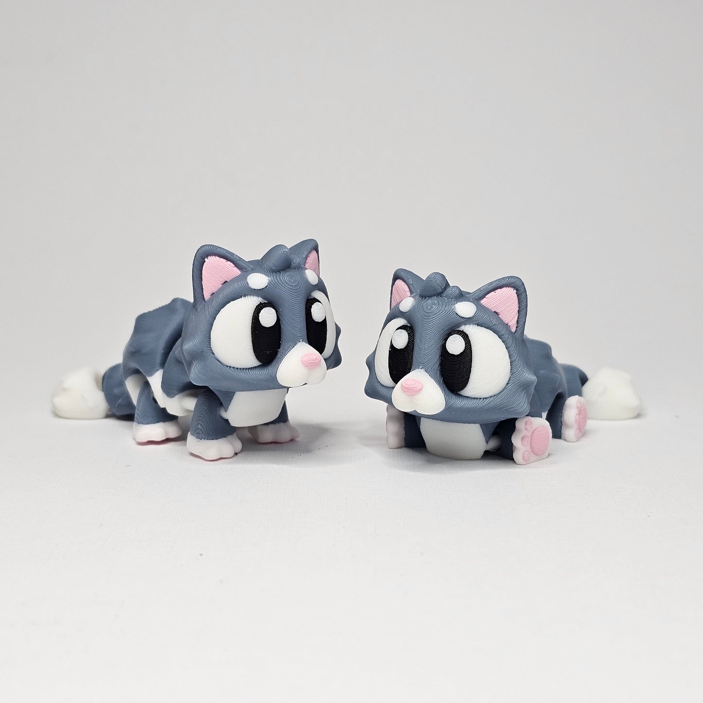 Cat Pocket Pet