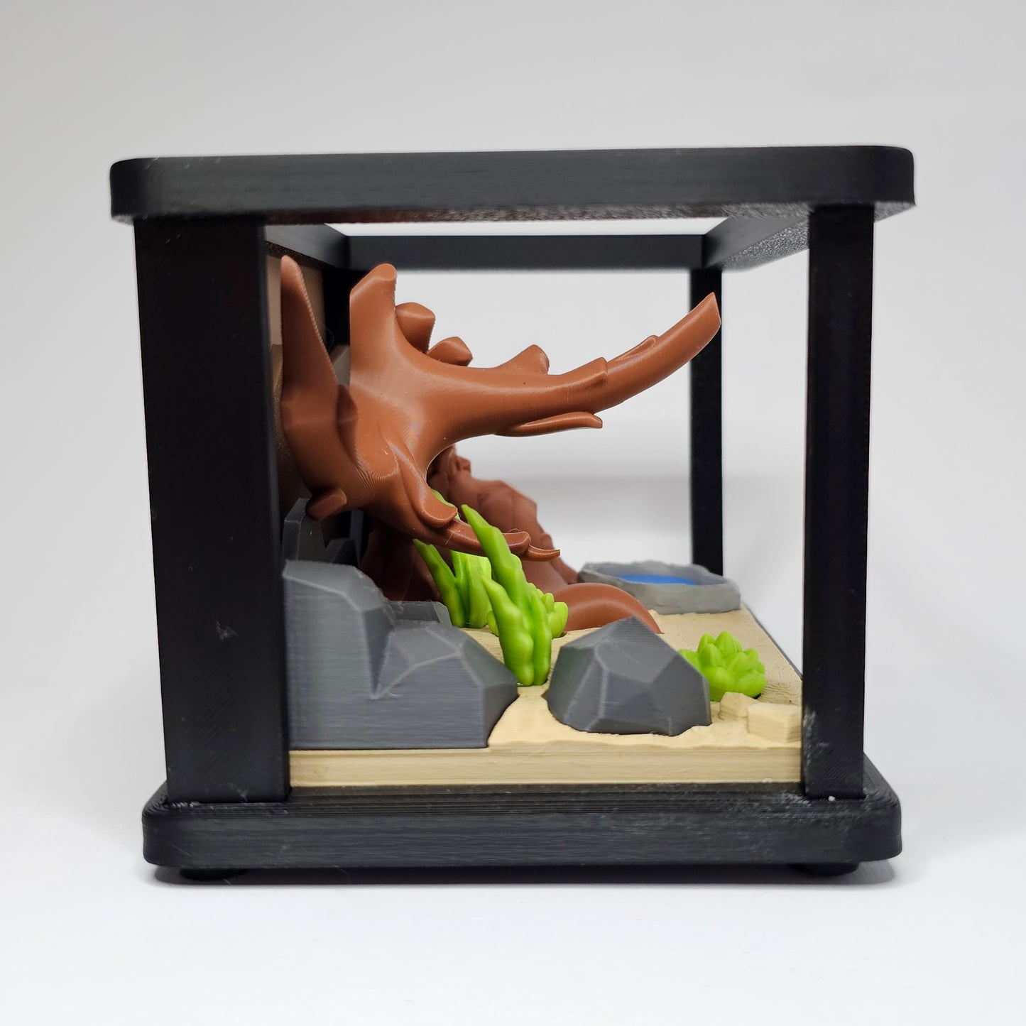 Reptile Pocket Pet & Terrarium Biome