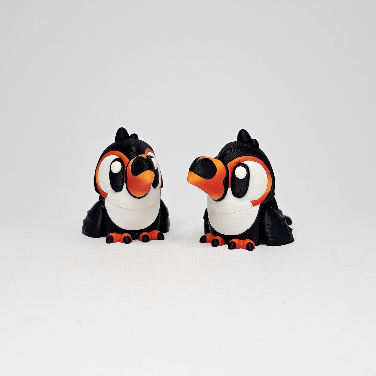 Toucan Pocket Pet