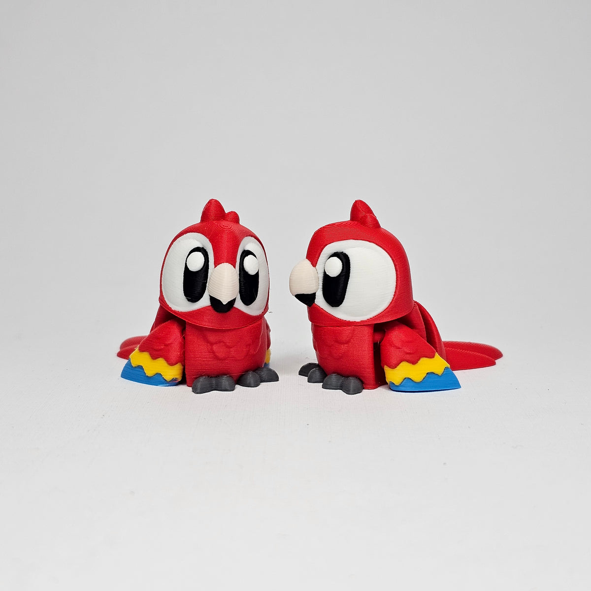 Macaw Pocket Pet