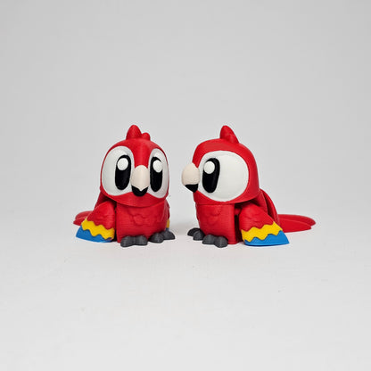 Macaw Pocket Pet