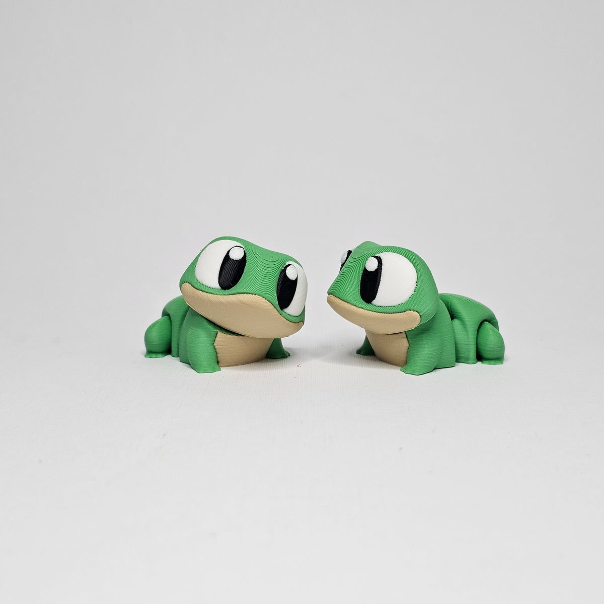 Frog Pocket Pet
