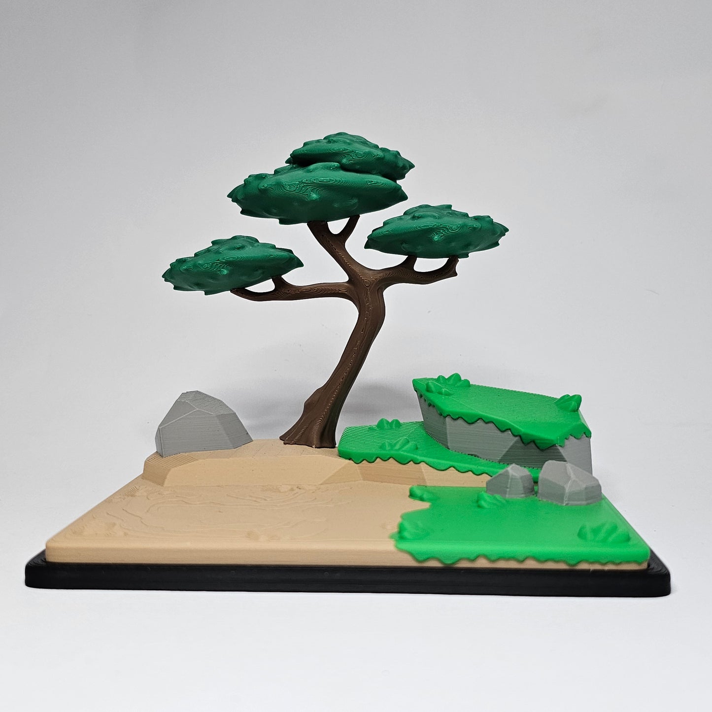African Pocket Pets with Safari Biome