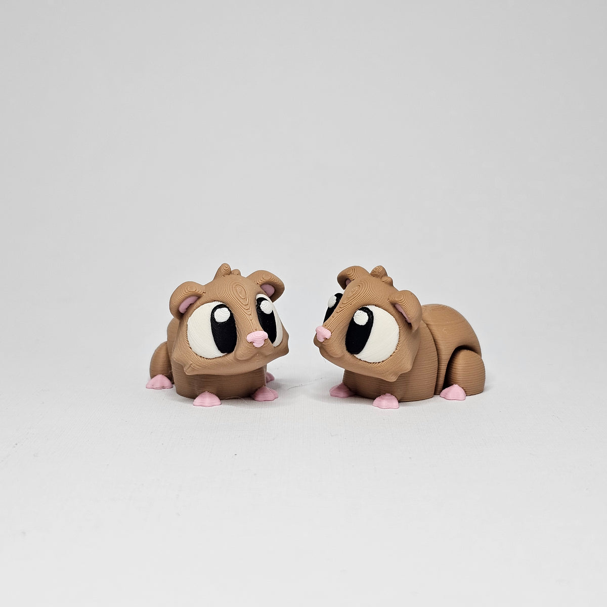 Guinea Pig Pocket Pet